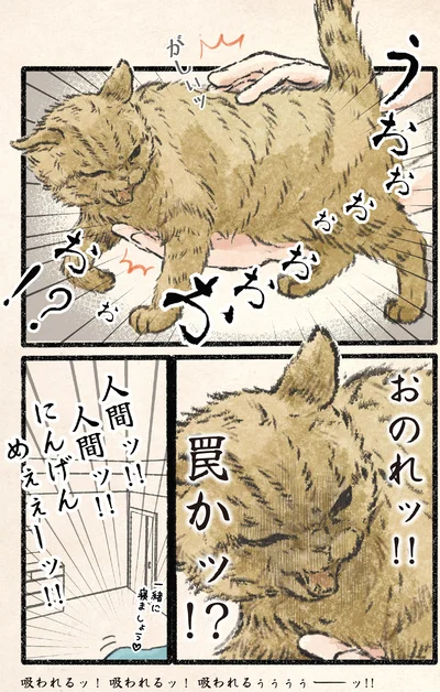 『今日もネコ様の圧が強い2』より