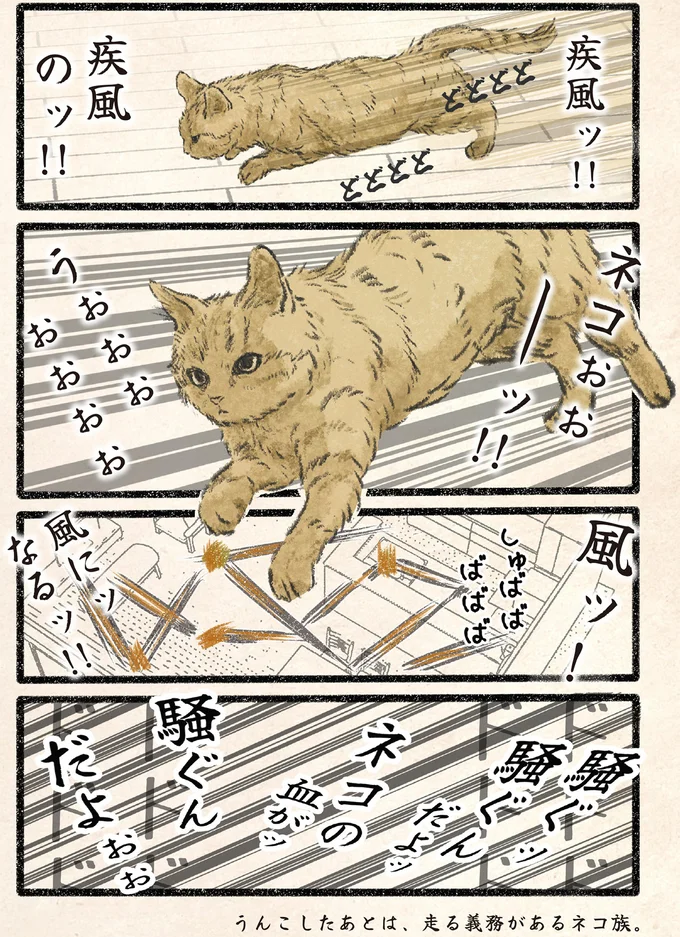 『今日もネコ様の圧が強い2』より