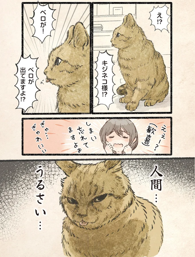 『今日もネコ様の圧が強い2』より