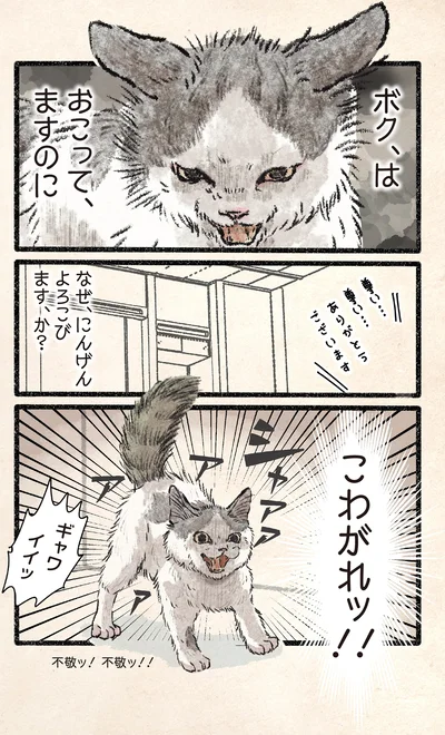 『今日もネコ様の圧が強い2』より