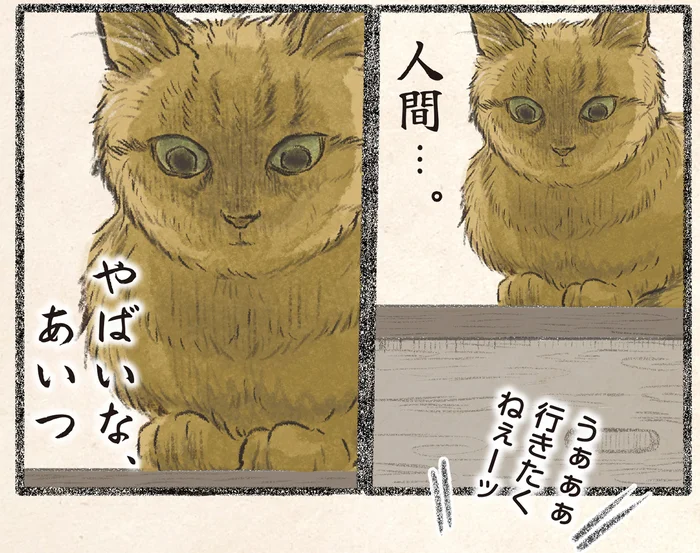 「仕事やだぁー！」駄々をこねる飼い主と、ネコ様の冷たすぎる視線