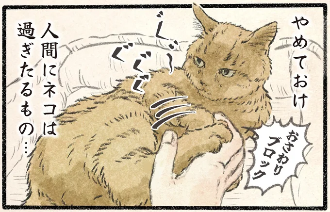 人間にネコは過ぎたるもの…