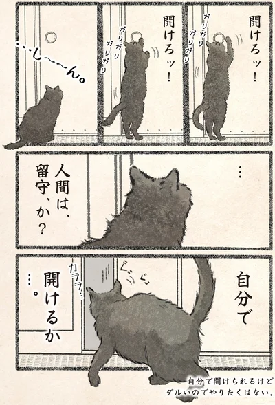 人間は、留守、か？