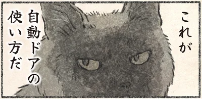 これが自動ドアの使い方だ