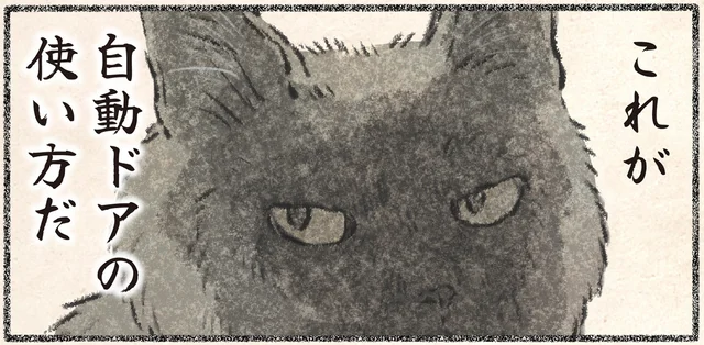 飼い主を使うのが基本。ネコ様が指南する「自動ドア」の開け方