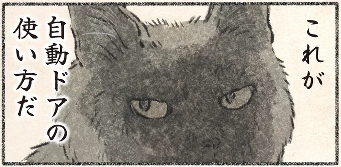 これが自動ドアの使い方だ