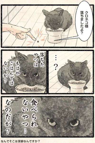 クロネコ様落ちましたよ？