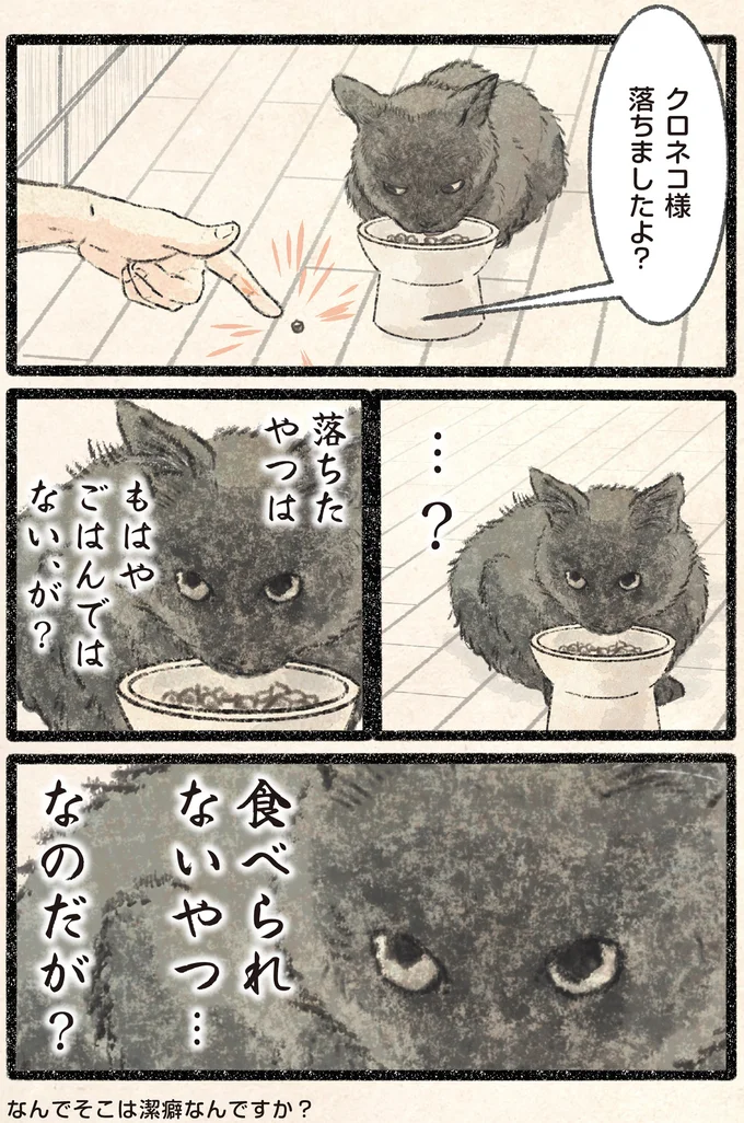 クロネコ様落ちましたよ？