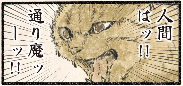 見回り中のネコ様を急襲!?飼い主がすれ違いざまに取った行動とは