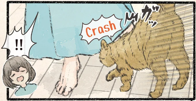 ぶつかったネコは…