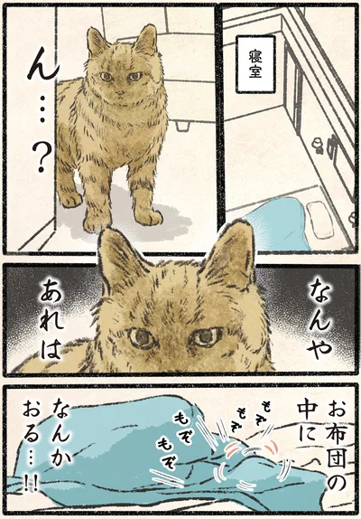 お布団の中になんかおる…！！