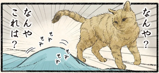 なんや?なんやこれは?