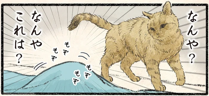 「なんかおる…」もぞもぞ動く布団に好戦的なネコ様。まさかの罠が！