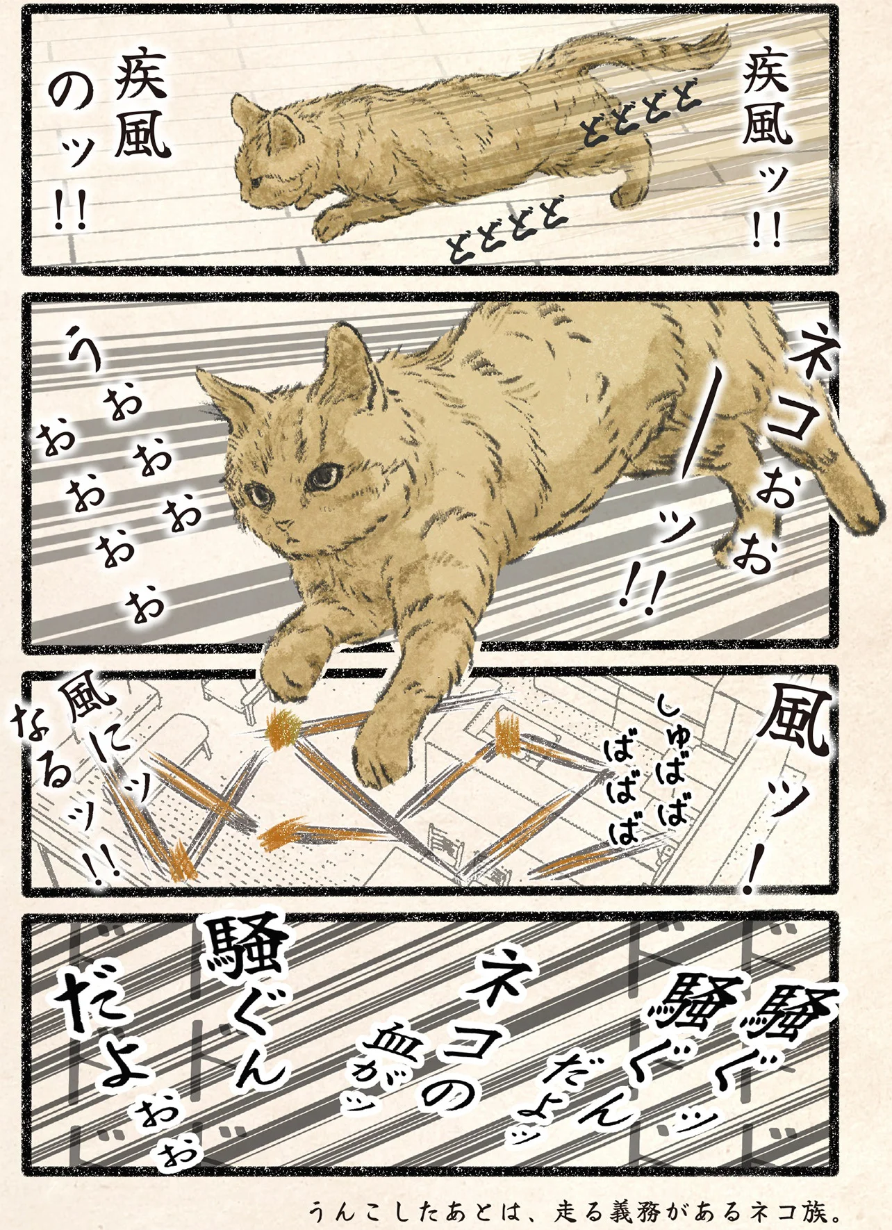 ネコの血が騒ぐッ！部屋中を駆け回る疾風のネコ様 - レタスクラブ