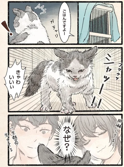 ごはんですよー