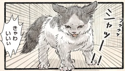 威嚇してるのに…