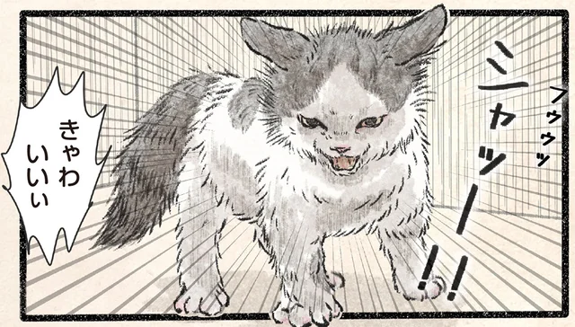 全身で威嚇してるのに！猫溺愛の飼い主に伝わらない子猫の怒り