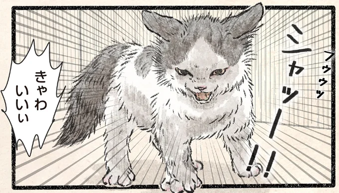 威嚇してるのに…