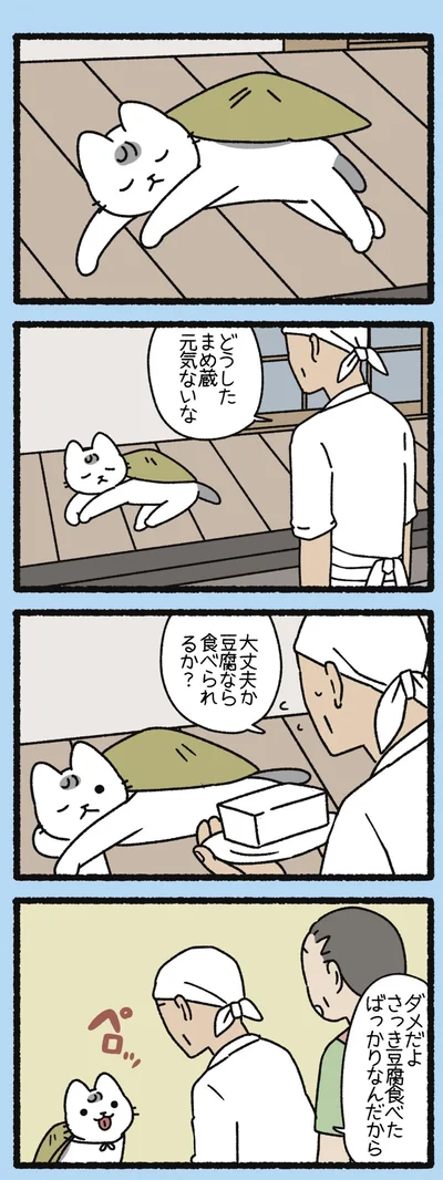 豆腐なら食べられるか？