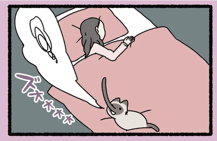 夢を食べる「ばく」のおかげ？ 飼い主が毎日快眠できているワケ