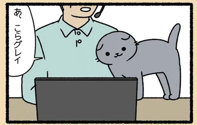 オンライン会議はお手のもの。飼い主を「猫の手」でお助け！