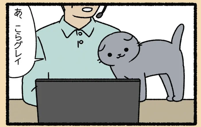 オンライン会議はお手のもの。飼い主を「猫の手」でお助け！