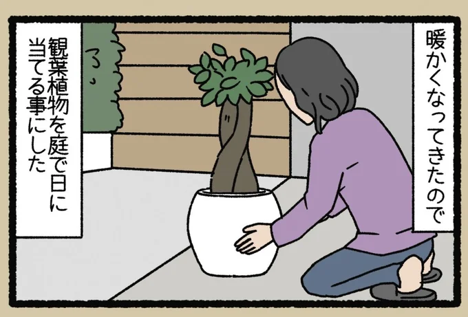 暖かくなってきたので