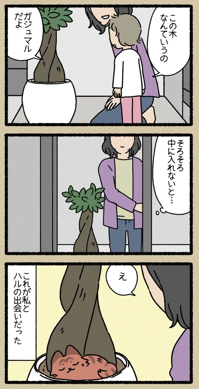 え…