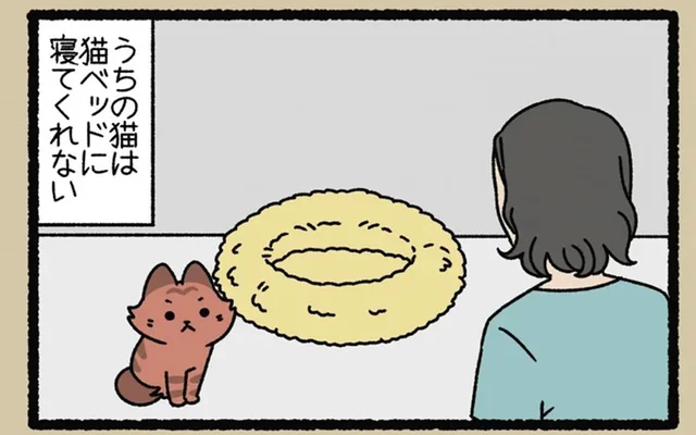 ベッドもダンボール箱も興味がない「きじむなー」の好きな場所