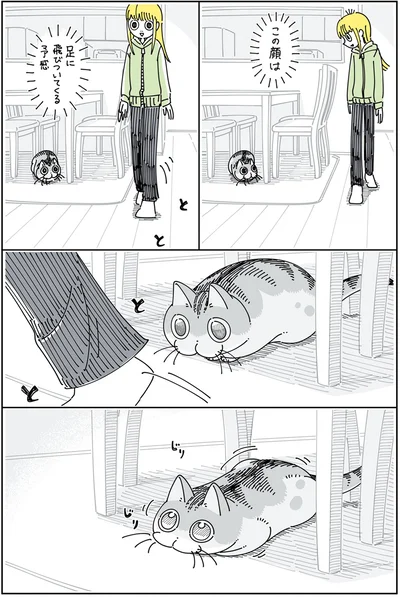 『夜は猫といっしょ5』より