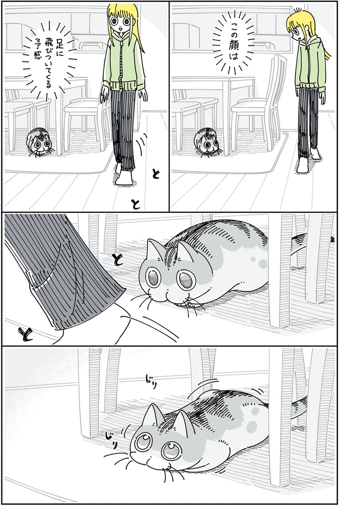 『夜は猫といっしょ5』より