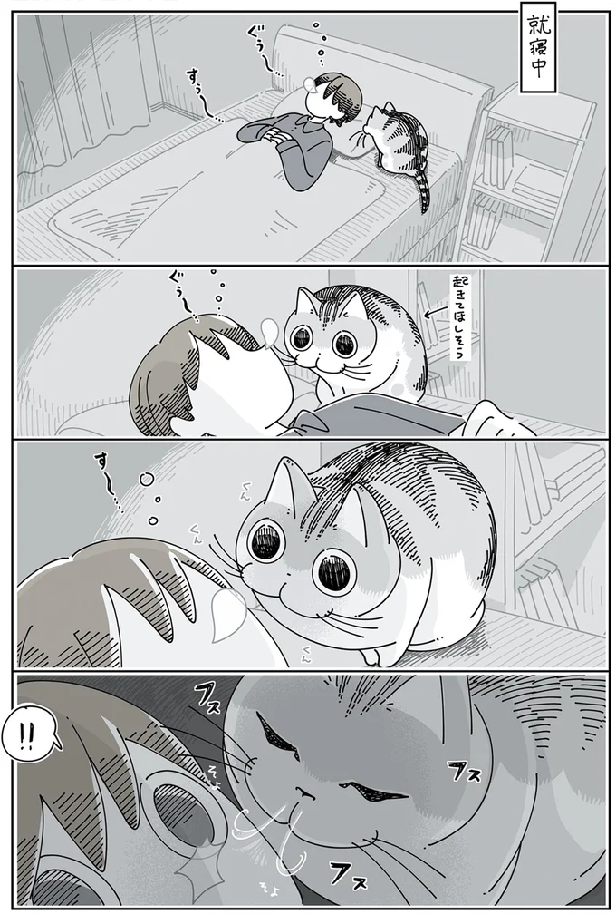 『夜は猫といっしょ5』より