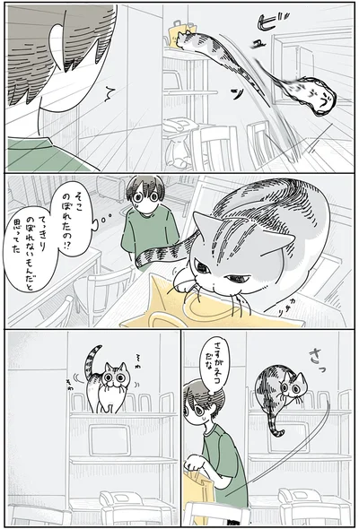 『夜は猫といっしょ5』より