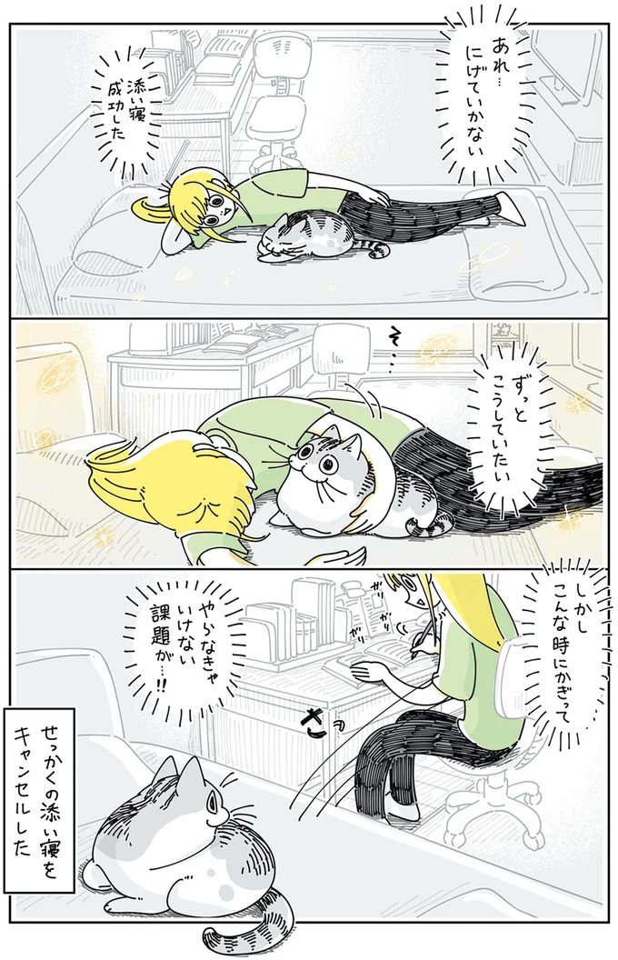 『夜は猫といっしょ5』より