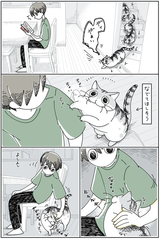 『夜は猫といっしょ5』より