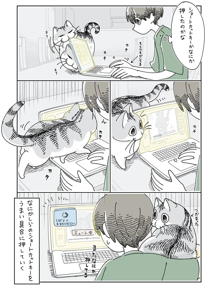 『夜は猫といっしょ5』より