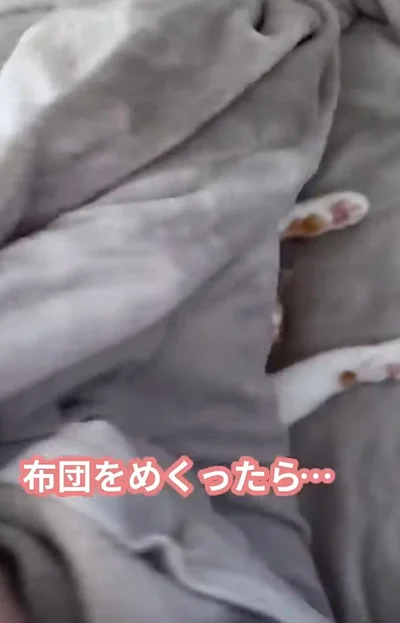 また毛布をかけてもらった▶ちくわくんはおしゃべり好き（⇒次へ）