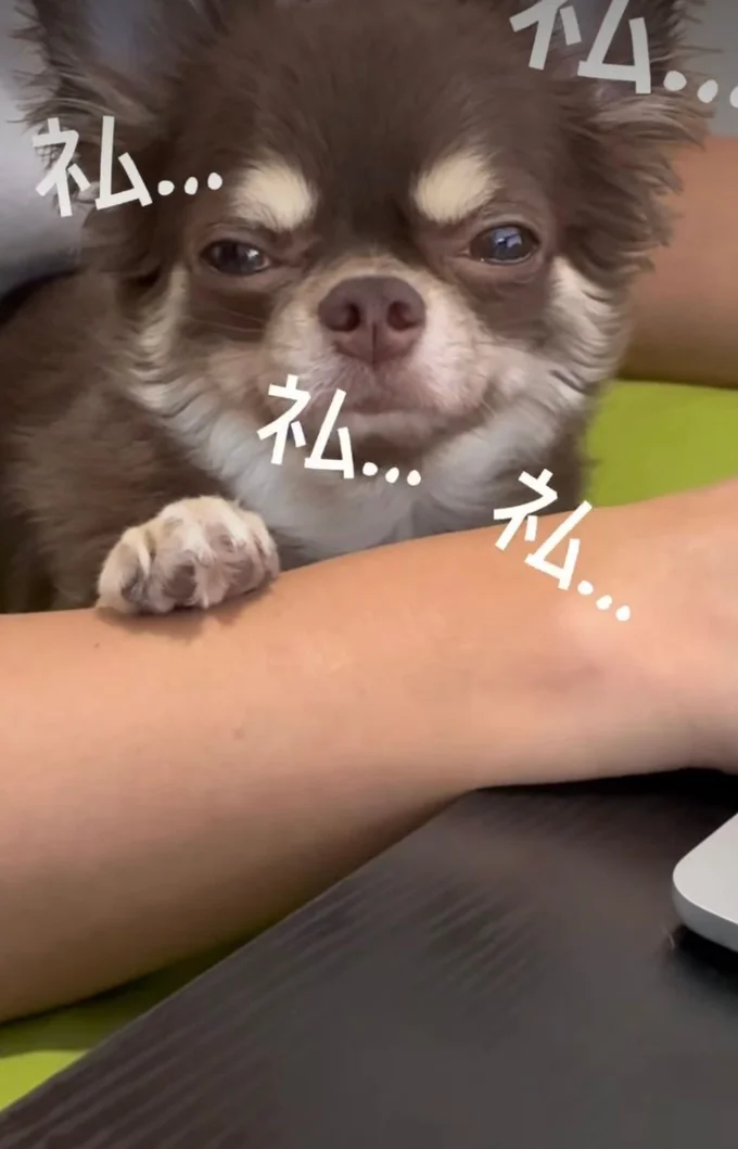 眠いけどこらえてます▶お出かけの様子も（⇒次へ）