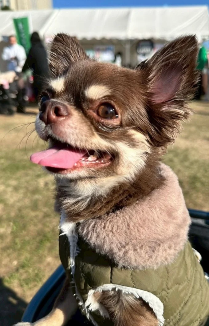 野外ドックイベントに参加したよ▶可愛い記念撮影も（⇒次へ）