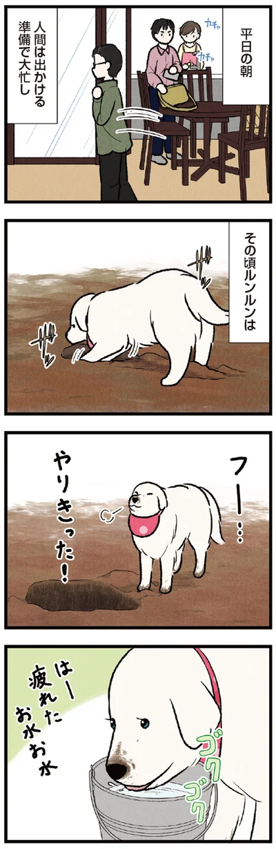 『今日のルンルン 超大型犬は愛もでかい』より