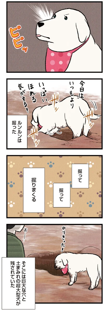 『今日のルンルン 超大型犬は愛もでかい』より