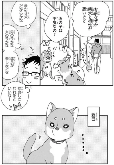 なぜか柴犬と相性が悪いけど