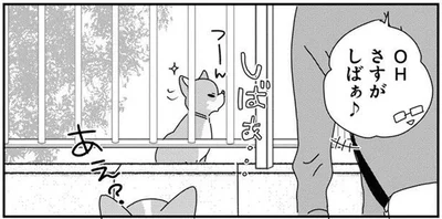 これぞ柴犬らしさ！ツレない態度の柴犬に「あれれ」