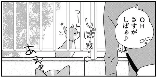 これぞ柴犬らしさ！ツレない態度だったはずが…意外な態度に「あれれ」