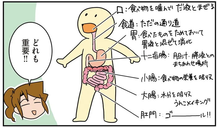 「ごはんの通り道」を手術するのが消化器外科！ 管の通りに一喜一憂する外科医夫婦