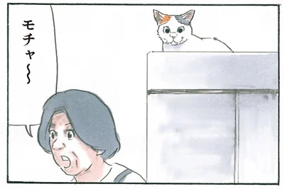 呼んでいるのに…