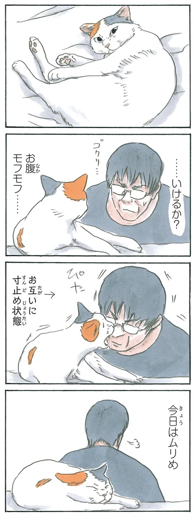 モフモフチャレンジ