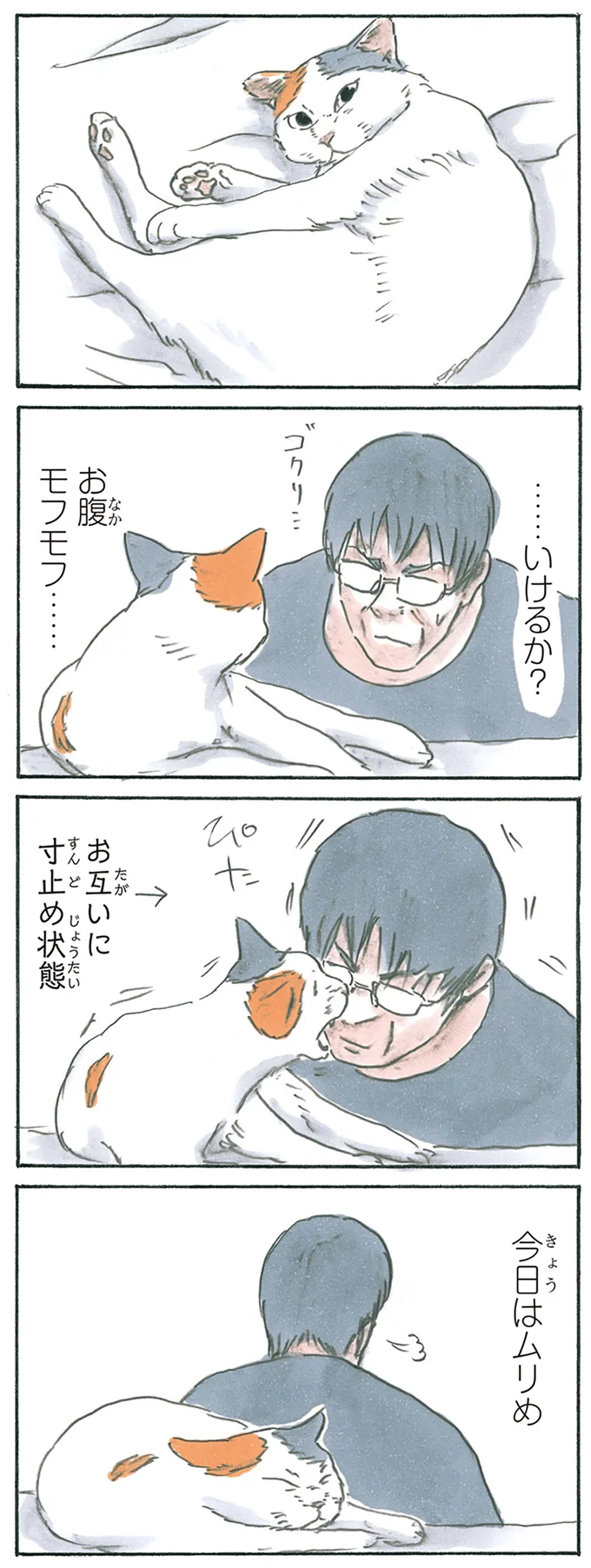 モフモフチャレンジ