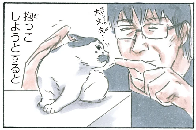 抱っこより好きなのは？ 子猫に「ノリ吉」という名前をつけた理由