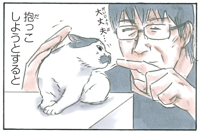 抱っこしようとすると